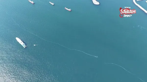Marmara Denizi’nde denizanası istilası böyle görüntülendi | Video