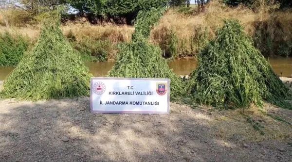 24-ilde-uyusturucu-madde-saticilarina-ve-yasa-disi-kenevir-ekimine-yonelik-operasyon-138-supheli-yakalandi-1785313929607.jpg