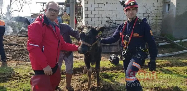 İzmir'de kuyuya düşen inek operasyonla kurtarıldı