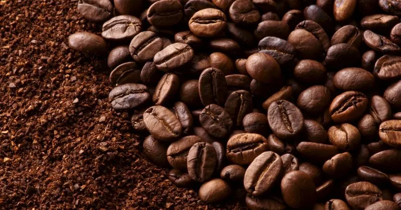 kahve maskesi tarifleri