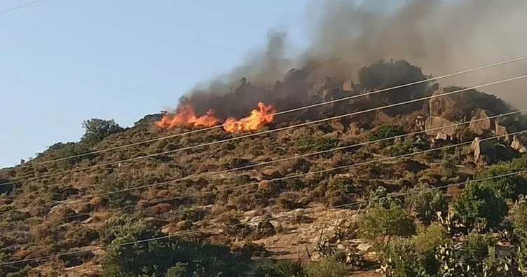 SON DAKİKA: Muğla Datça’da orman yangını! 3 saat sonra güzel haber!