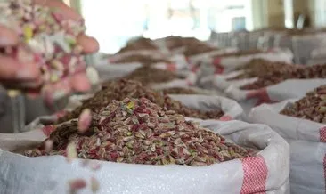 Türkiye’den yılın ilk yarısında 111 milyon dolarlık Antep fıstığı ihracatı yapıldı