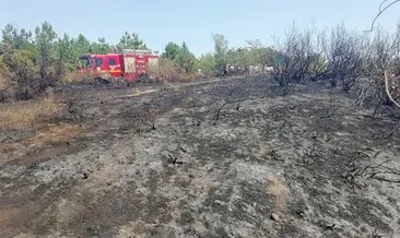 Son dakika haberi: Zonguldak Ereğli’deki orman yangını kontrol altına alındı