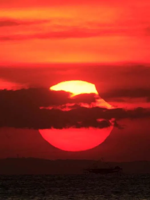 Dünyadan son dakika haberi... Ülke şokta: Engelli çocukları toprağa gömdüler