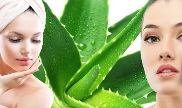 Aloe vera sivilce maskesi tarifi - Aloe vera bitkisi cilt lekelerine iyi gelir mi, sivilceye sürülür mü?