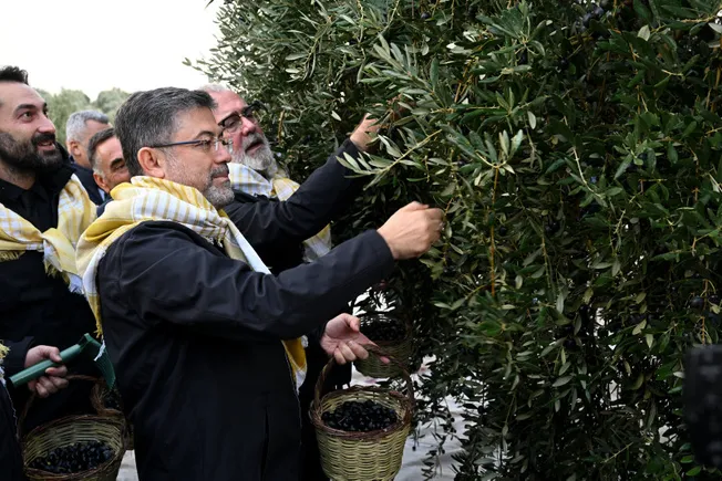 bakan-yumakli-zeytin-uzerinden-yapilan-spekulasyonlara-itibar-etmeyin-1702028199681.jpg