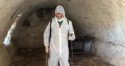 Şırnak'ta şap hastalığı görülen köye hayvan giriş çıkışları yasaklandı #sirnak