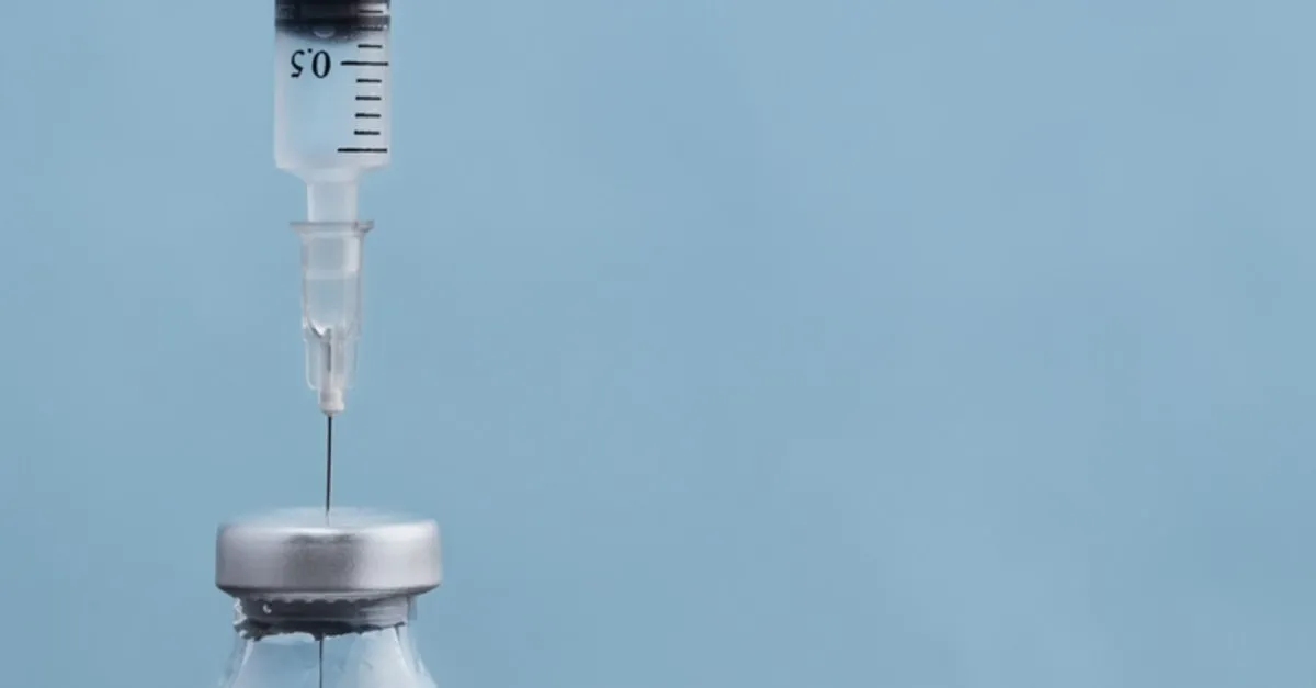 ☀ Köpek aşıları ne zaman yapılır ☀ Köpek aşıları ne zaman yapılır