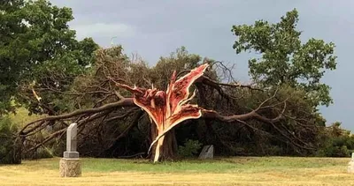 Dünyadan ilginç fotoğraflar!