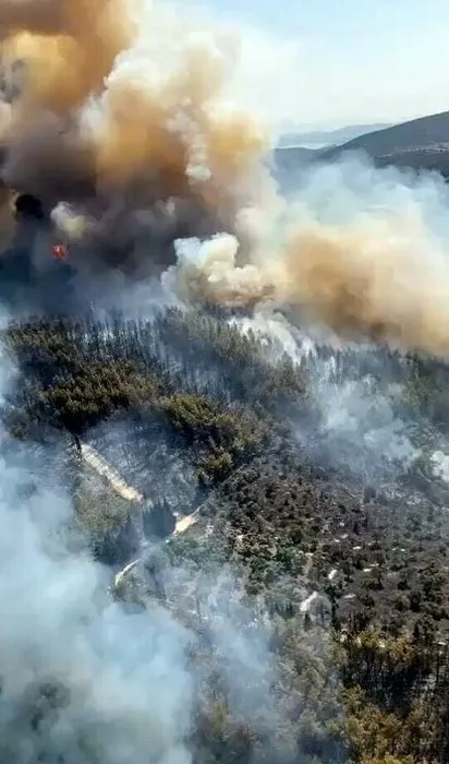 Orman yangınında kahreden detay: 160 hektarlık alan bu yüzden yanmış!