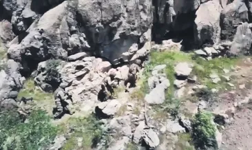 PKK’nın sözde karargâhı ele geçirildi