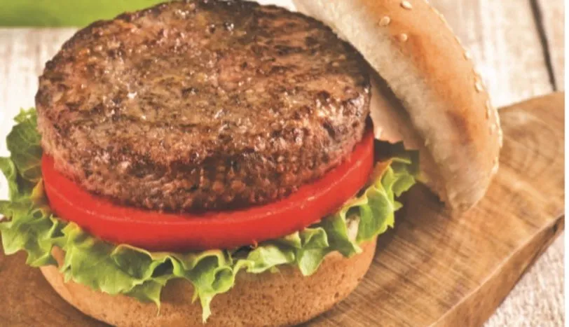 hamburger ile ilgili görsel sonucu