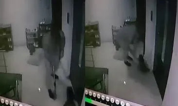 Sakarya'da pes dedirten olay: Kediye sopa ile saldırdı! Dehşet anları kamerada... #sakarya