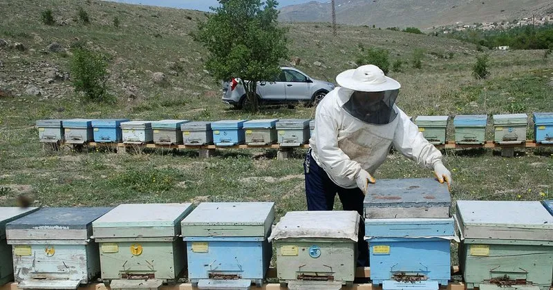 Ari Sutunun Kilosu 10 Bin Tl Ekonomi Haberleri