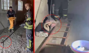 Osmaniye’de zehirli engerek kabusu! Eve girmeye çalışan yılan böyle çıkarıldı #osmaniye