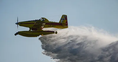 İzmir’de orman yangını: Ekipler seferber oldu!