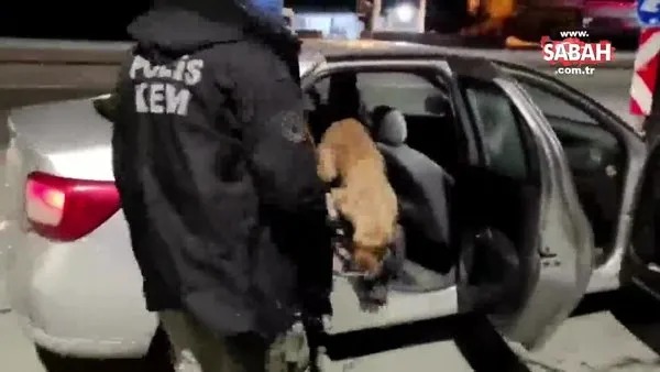 Narkotik köpeği Eris yine yakaladı: 103 kg 550 gr! | Video