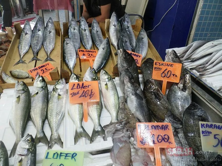 Marmara denizinde yakalanan kılıç balığı altın fiyatına satıldı