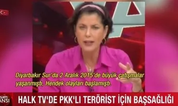 CHP medyasında teröriste ağıt! Halk TV’de PKK’lı terörist için başsağlığı