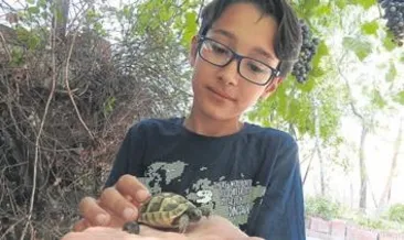 Hayvan sevgisi fenomen yaptı