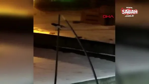 Ağrı'da ilçe merkezine inen kurtlar yiyecek aradı | Video