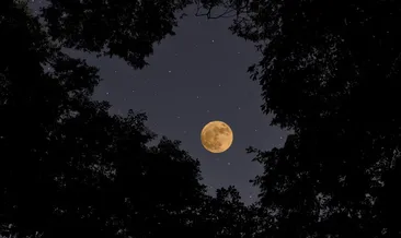 Dolunay ne zaman, ayın kaçında gerçekleşecek? Eylül dolunayının burçlara etkileri nelerdir, burçları neler bekliyor?