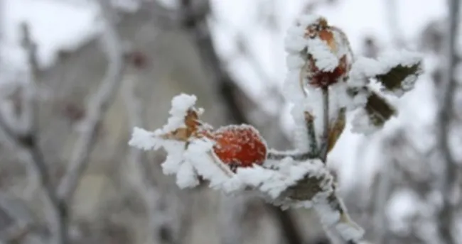 Meteorolojiden zirai don ve çığ uyarısı