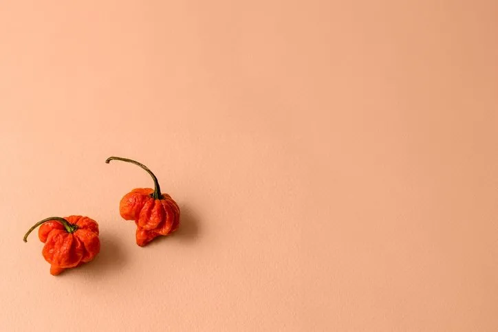 Dünyanın en acı biberi! Yiyenin nefesini kesiyor: Fakat hayatınızı değiştirecek öyle bir faydası var ki...