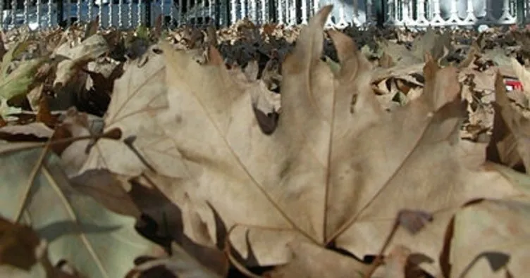 Afyonkarahisar’da dökülen yapraklar seyri doyumsuz manzaralar oluşturuyor