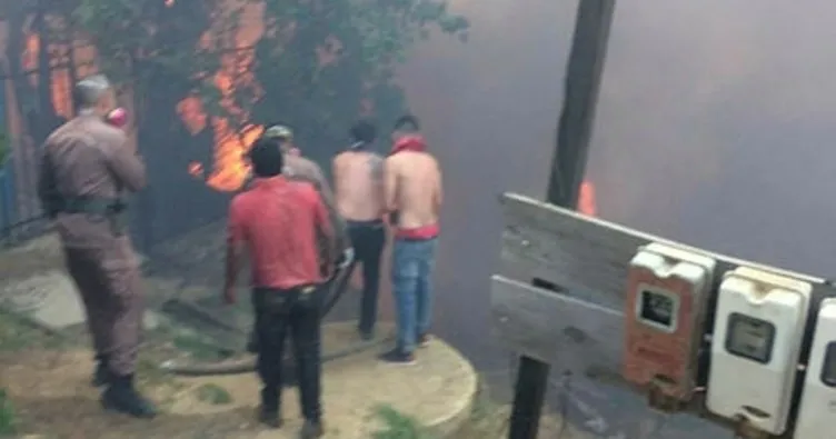 Şili’deki orman yangınlarında 200’den fazla ev kül oldu
