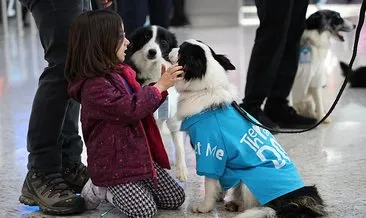 İstanbul Havalimanı’nda ’terapi köpekleri’ göreve başladı