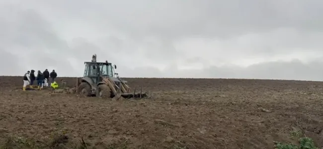 sangay-istanbul-pekin-ucgeninde-korkunc-cinayet-cinli-is-adamini-topraga-dik-gommusler-iste-cinli-cesedin-sirr-1771857108826.jpg (2048×945)