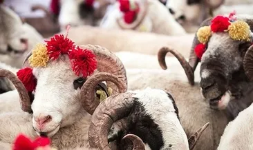 KURBAN BAYRAMI NE ZAMAN 2023? Diyanet dini günler takvimi ile bu yıl Kurban Bayramı ayın kaçında başlıyor, hangi gün?