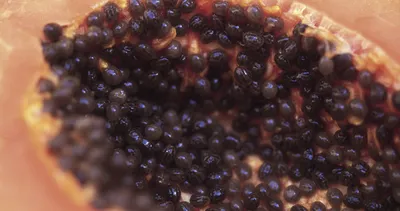 Gelecek hastalıkları başınızdan defediyor! Vücudun şifa anahtarı bu meyvede...