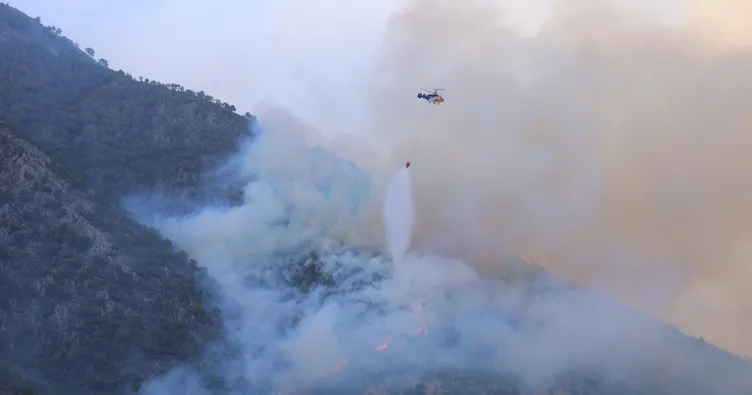 Kahramanmaraş’ta orman yangını