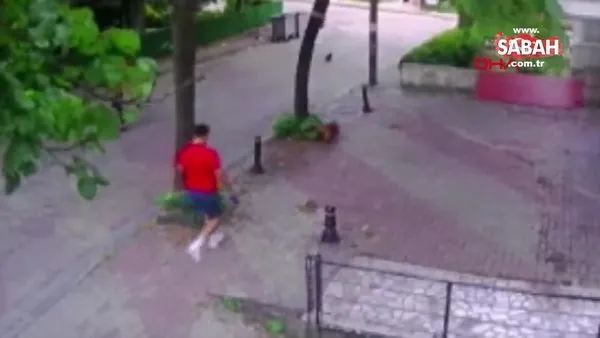 Merter'de şok eden kedi saldırısı kamerada | Video