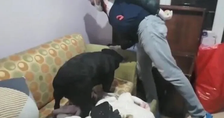 Uyuşturucu partisine şok baskın