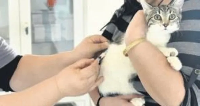Mamak’ta kuduz aşısı kampanyası
