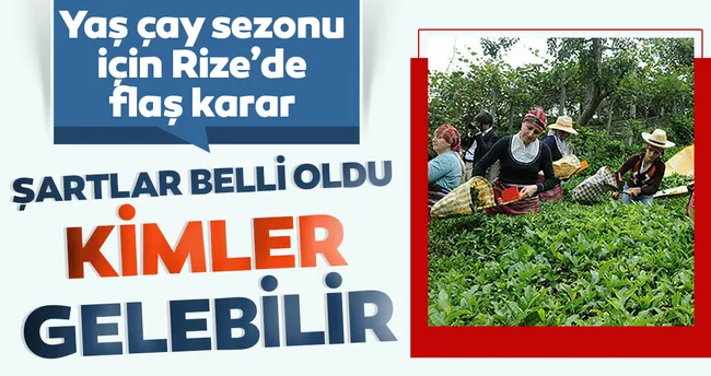 rize ye
