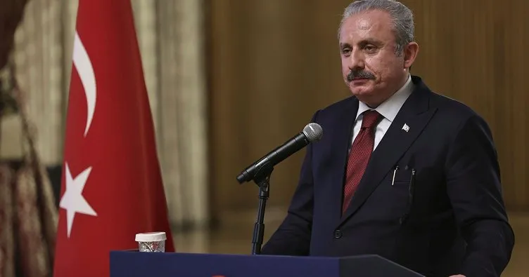 TBMM Başkanı Şentop: Gürcistan’ın egemenliğine ve toprak bütünlüğüne verdiğimiz güçlü desteği sürdürüyoruz
