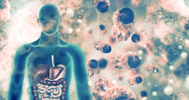 Bağışıklığınızı beslenme ile güçlendirin