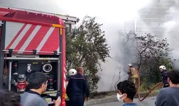 Arnavutköy’de korkutan yangın! Yavru kediler yangından son anda kurtuldu
