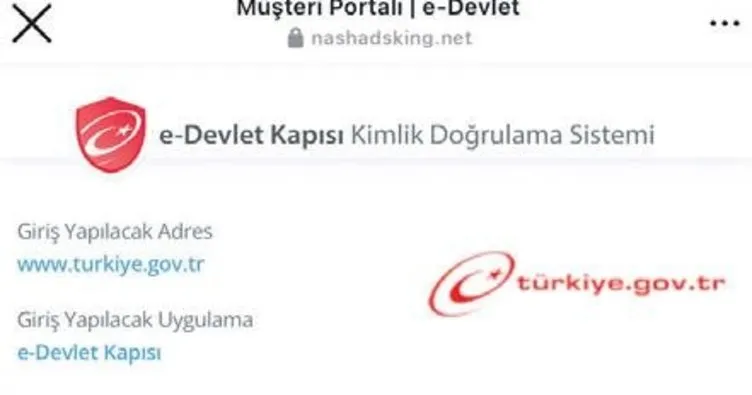 Sahte e-devlet sitesi üzerinden vurgun