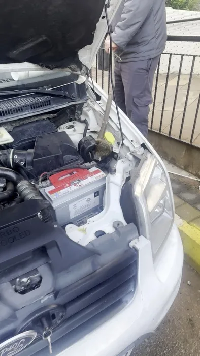 Aracın hava filtresine giren fare zor anlar yaşattı: Sürücünün çıkartma yöntemi ise yüzleri gülümsetti!