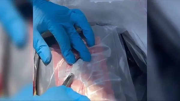 Gözaltına Alınma Anı