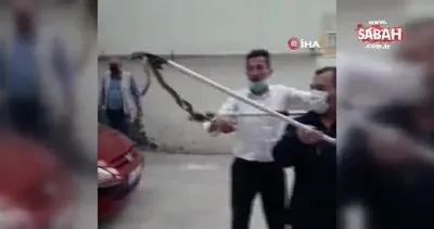 Son dakika haberleri... Ankara’da apartmanda yılan paniği | Video