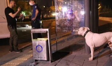 Gaziantep’te sokak ortasında infaz! Öldürülen şahsın köpeği, başından ayrılmadı