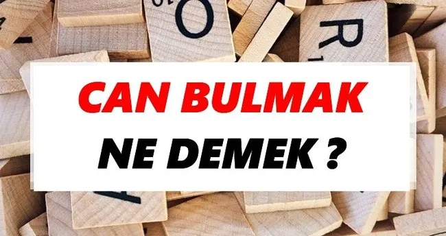 Can bulmak Ne Demek? TDK’ya Göre Can bulmak Sözlük Anlamı Nedir?