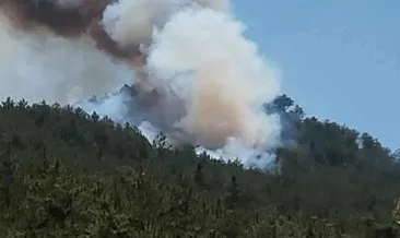 Göynük’te orman yangını başladı