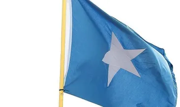 Somali’de, BAE’ye ait uçağa el konuldu